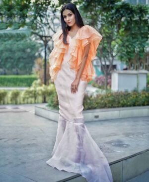 Women's Orange Organza Gown
